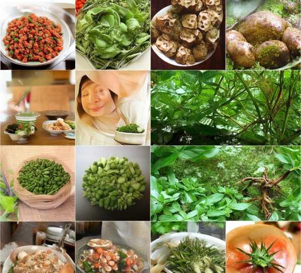 天麻养生新食法，解锁健康美味之道,天麻食用指南，解锁健康美味的养生之道,养生,第1张